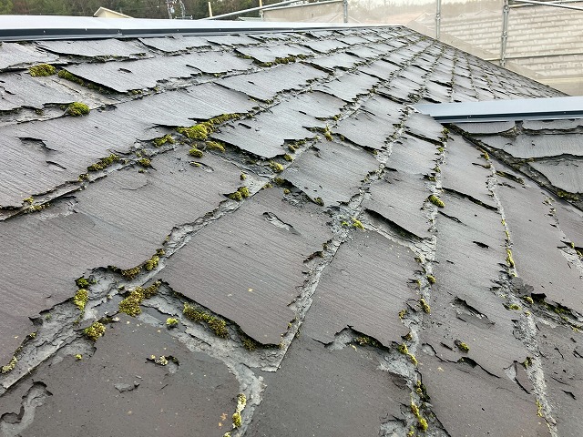 苔の生えたパミール屋根